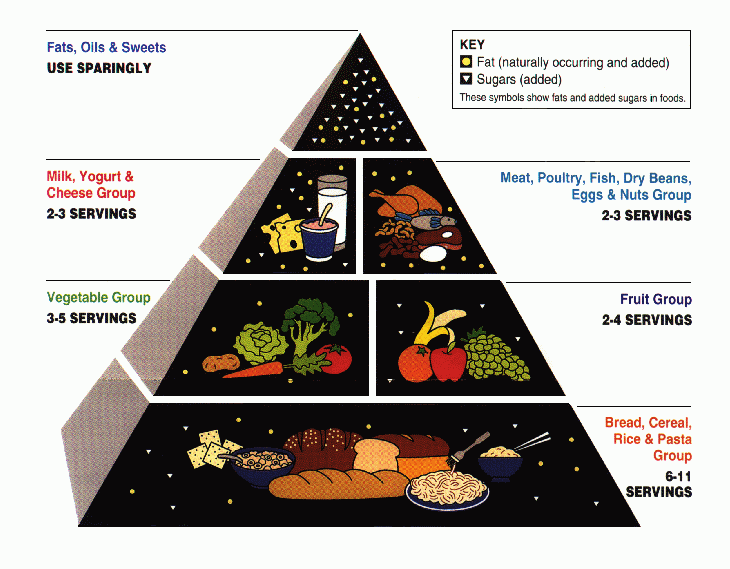 American Diet | visualization